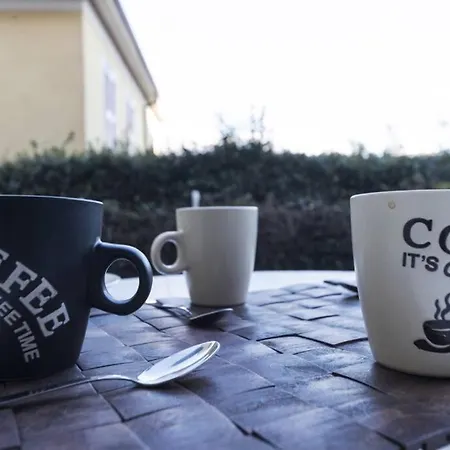 Cipresso 7 Acquaseria